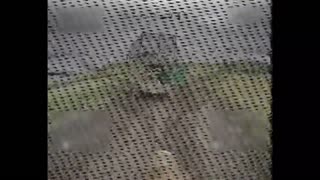 🚁⚔️ Ukraine Russia War | FPV Drone Strikes Ukrainian Vehicles in Donbass | RCF
