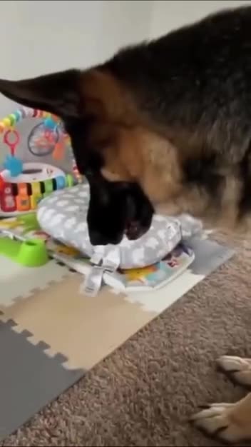 Let’s play catch buddy