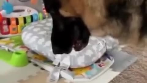 Let’s play catch buddy
