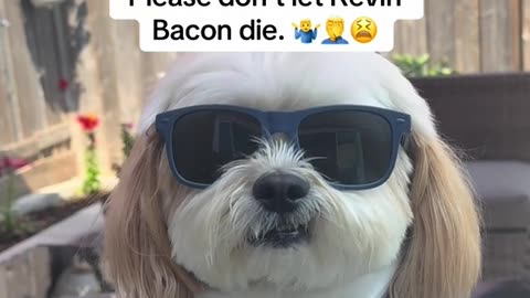 WISECRACKING 😎SUNDAY 11/23/25