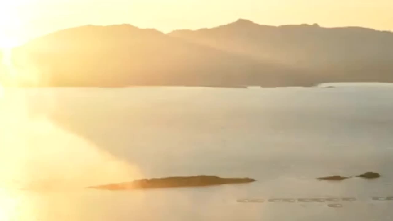 Interesting Facts About The World #facts #interestingfacts #viralvideo #viralshorts #shorts