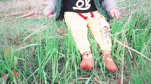 Funny video