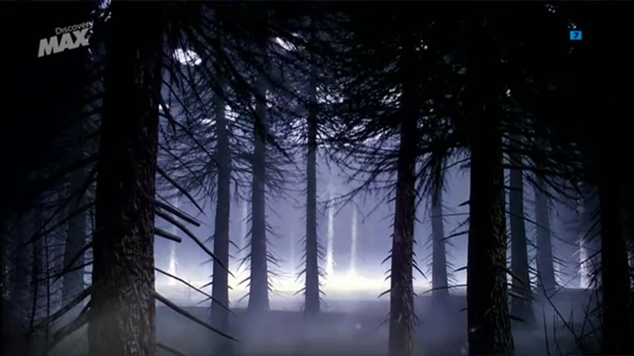 La Abducción y el interior de un ovni