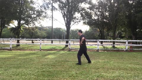 Aerobic Tai Chi Workout-027-Sideways Single Wave Hand