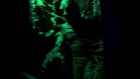 NIghtmare at the Wax Museum Haunted House 2024
