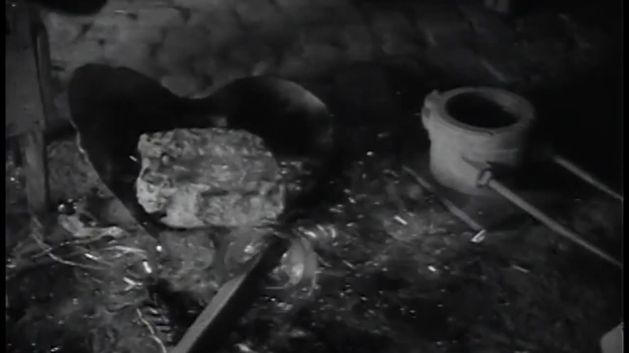 Okinawa Bastion in the Pacific - The Big Picture