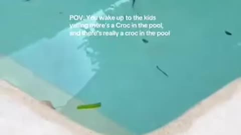 🐦😲 These Birds Are Having the Time of Their Lives! | FunFM