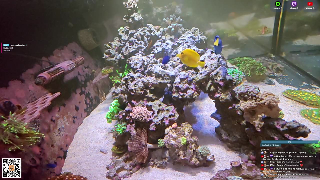 24/7 Real Live Reef Stream