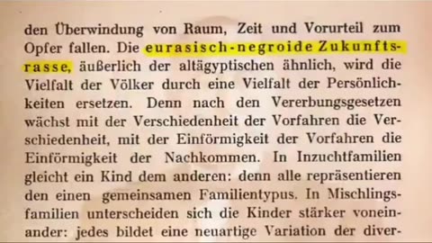 The Kalergi Plan
