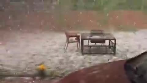 Severe hailstorm causes chaos in Islamabad, damaging hundreds of vehicles