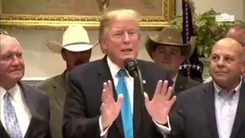 President Trump about his adversaries committing treason.