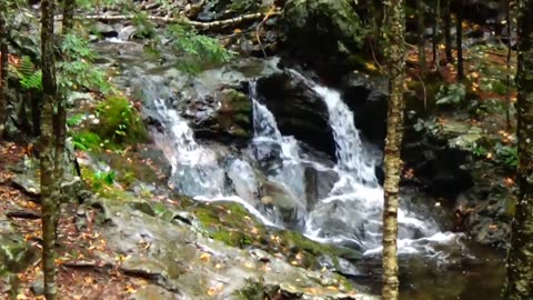 Cascades