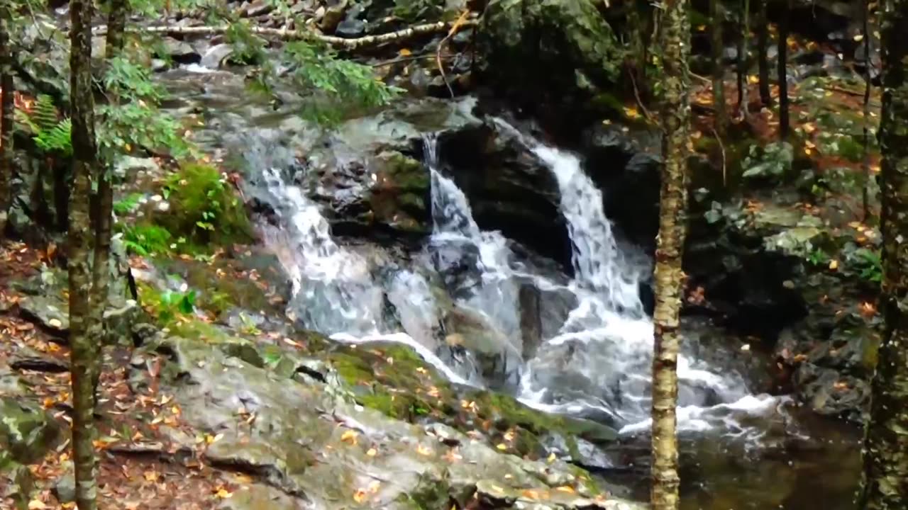Cascades