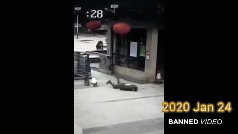 Jan 2026: Flashback to Early-2020: How the Covid Hysteria Began + Why