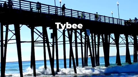 Top 5 Things To Do In Tybee Island Georgia