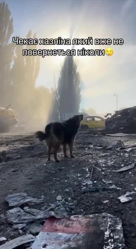 What "Russian Peace" Looks Like