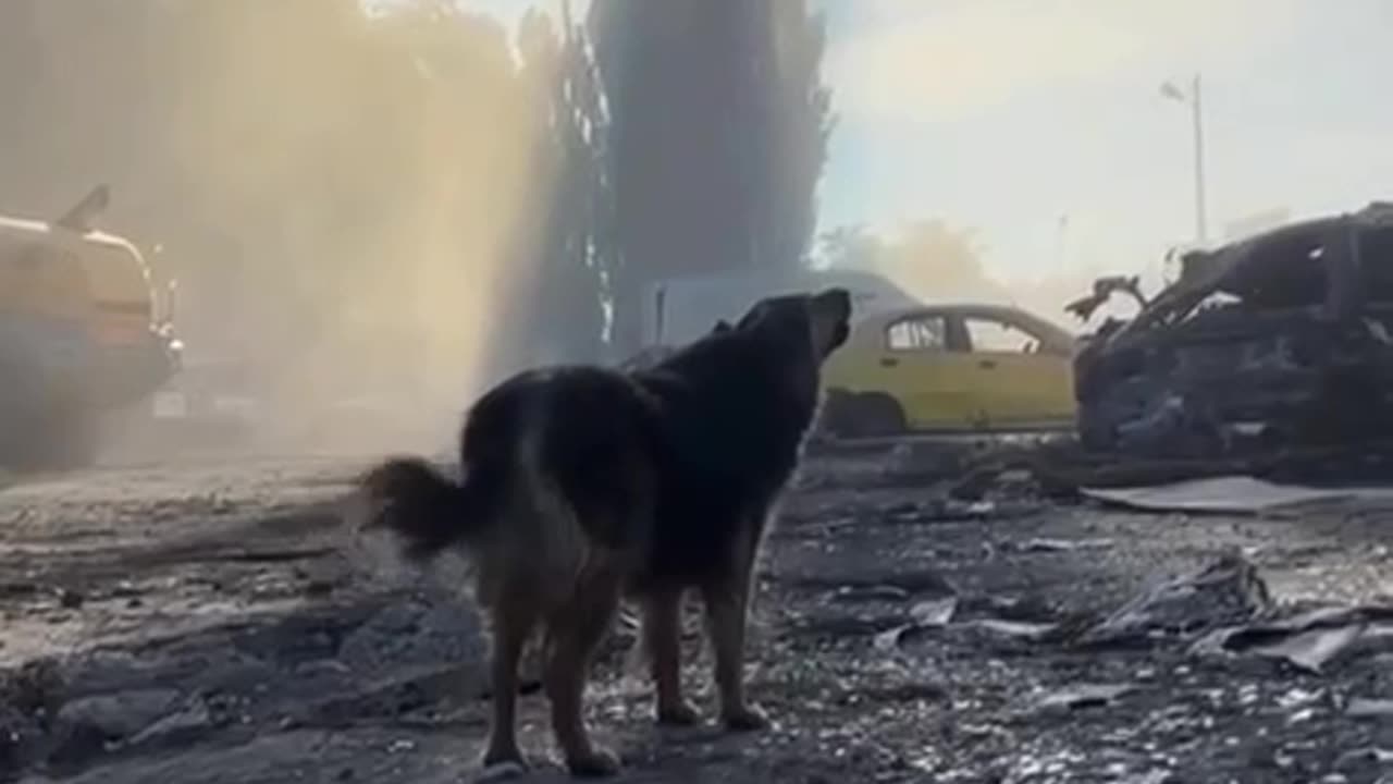 What "Russian Peace" Looks Like