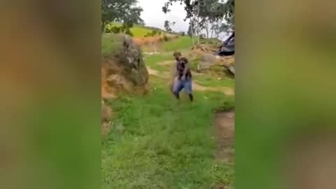 🤣Funny Animals Videos 6🤣