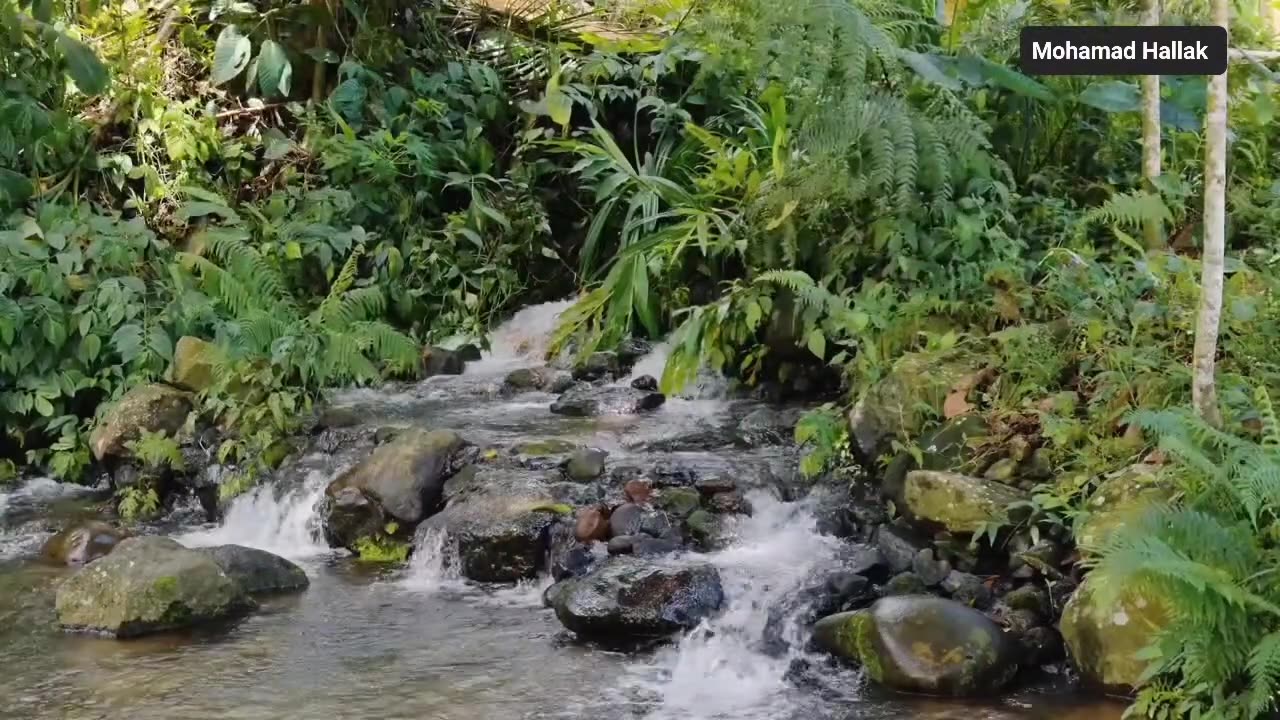 وَقَالَ الَّذِي آمَنَ يَا قَوْمِ اتَّبِعُونِ أَهْدِكُمْ سَبِيلَ الرَّشَادِ // سورة غافر