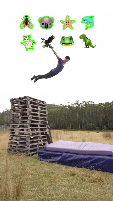 How different animals take fall damage.