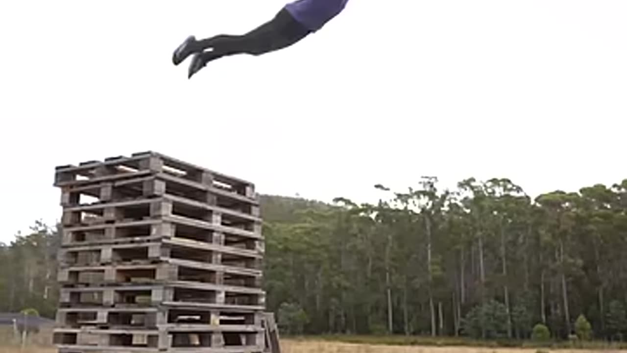 How different animals take fall damage.