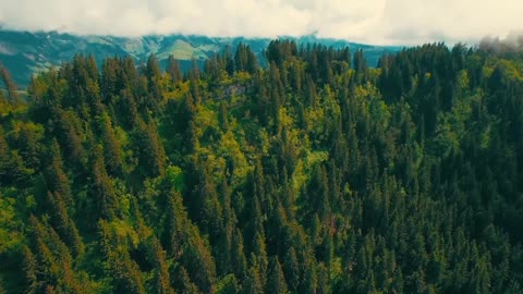 Nature Beauty of Switzerland – Switzerland Drone View