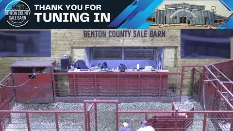 7/17/2025 - Cattle Auction - Benton County Sale Barn