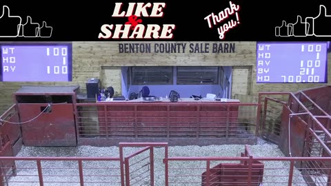 7/17/2025 - Cattle Auction - Benton County Sale Barn