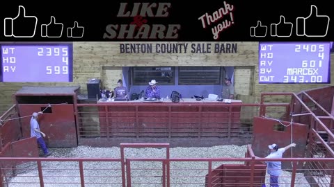 7/17/2025 - Cattle Auction - Benton County Sale Barn