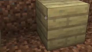 Me Annoying A Villager!