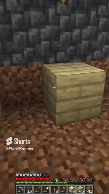 Me Annoying A Villager!