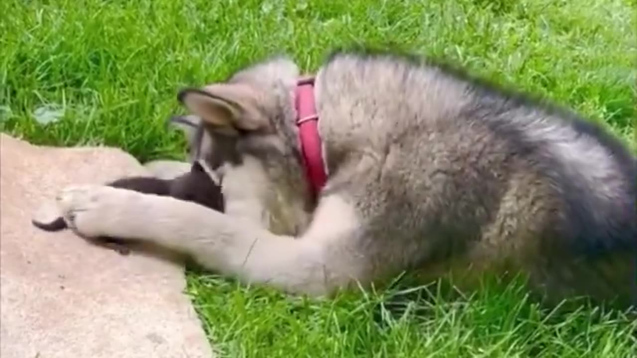 So gentle..