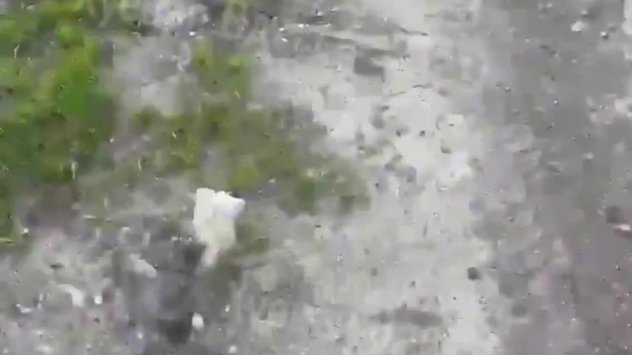 🇺🇦 Ukrainian dude