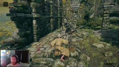 Never played a soullike - Elden Ring