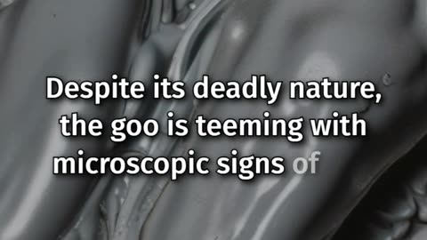 Scientists Found Deadly Blue Goo at Ocean Bottom Filled With Signs of Life