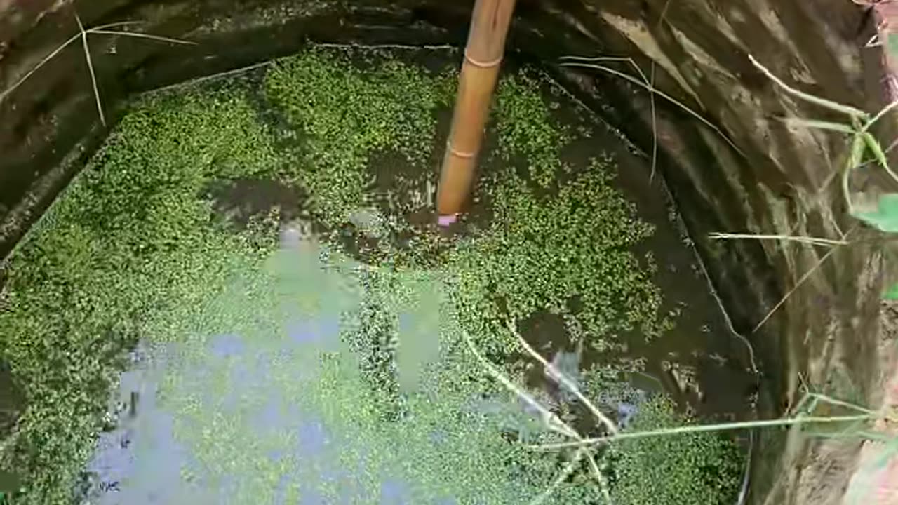 ✨🔩 Watch This Tool in Action! | FeedMyCuriosity