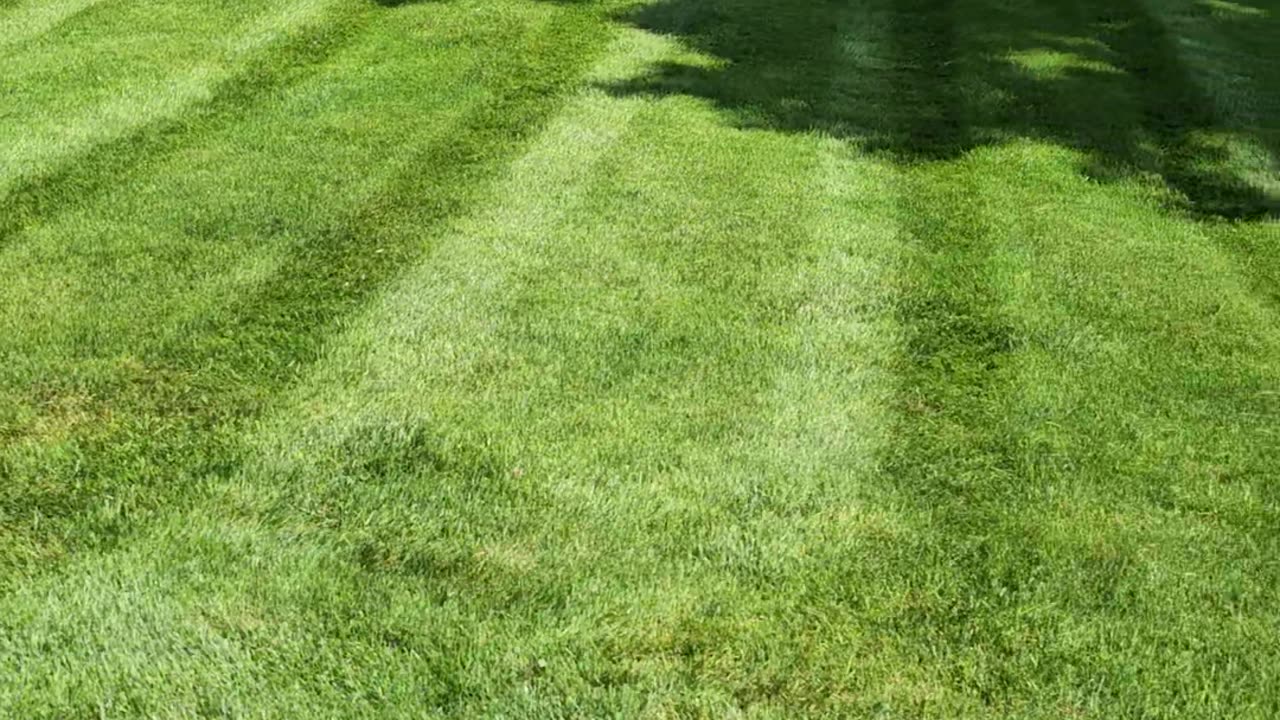 Follow the lines