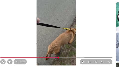 Kevin Murdaugh - A Choking Dog and getting Replaced with Chat GPT