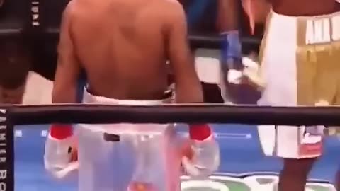 Regondeux Blap Casimero #boxing #fight #boxer #boxinghighlights #fight #sports #boxingvideos