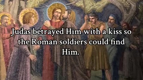 This is the Garden of Gethsemane where Jesus prayed for the last time before being arrested