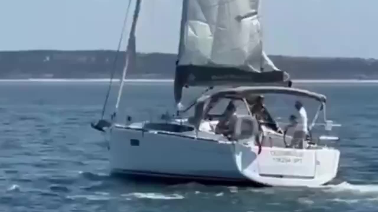 Orcas Terrorize Boats Off Portugal