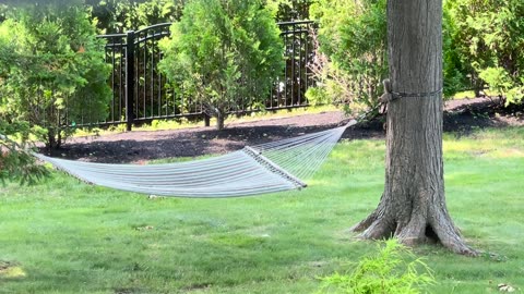 🐿🌿 Squirrel's Hammock Adventure! | FunFM