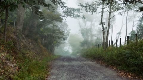 "It is our choices that show what we truly are, far more than our abilities."