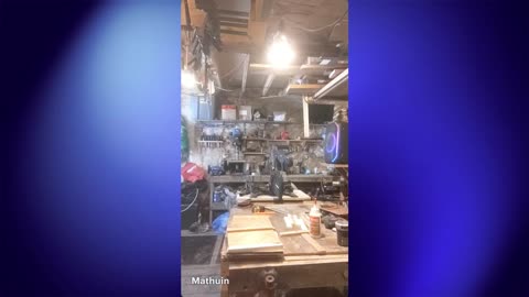 What Can we do today?