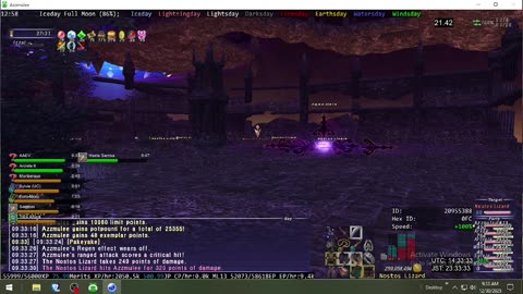 Playing Final Fantasy XI Online