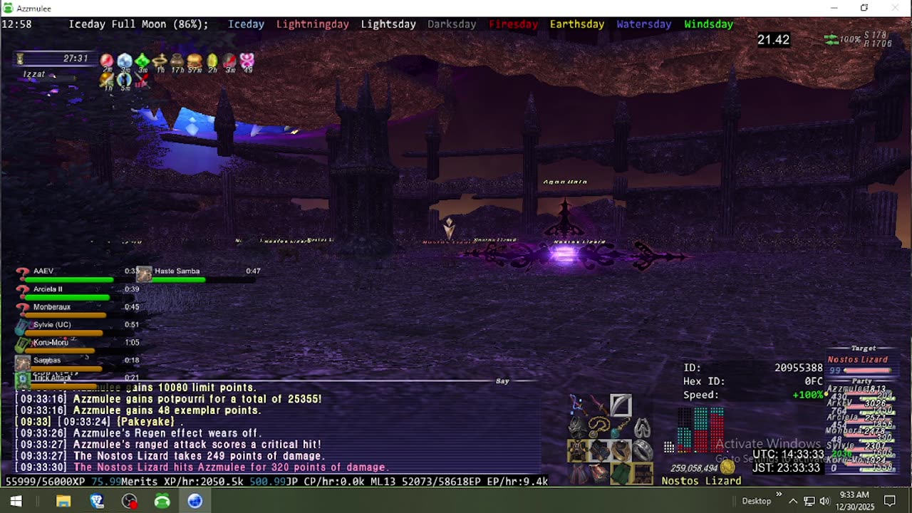 Playing Final Fantasy XI Online