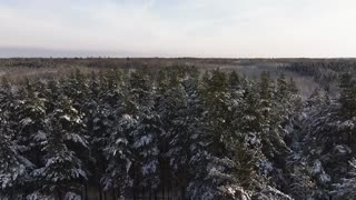 Warm Desk Lofi – Study & Work Companion