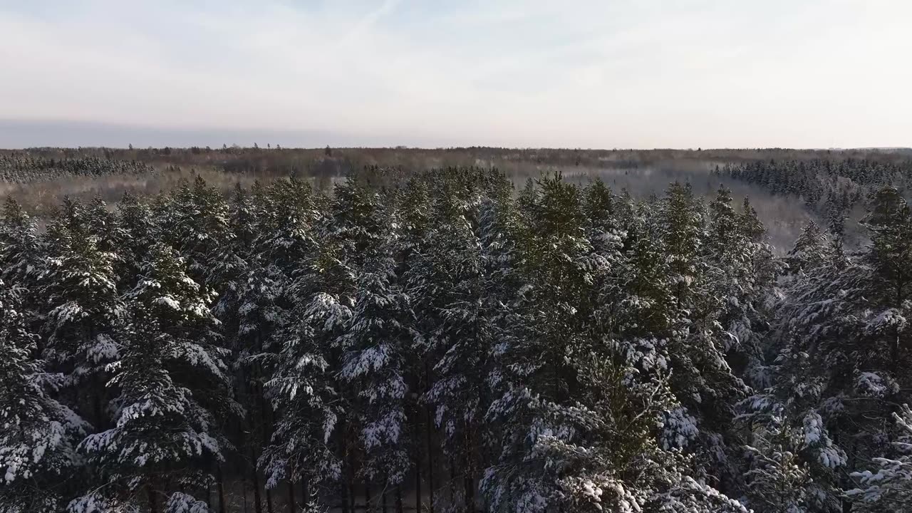 Warm Desk Lofi – Study & Work Companion