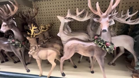 Reindeer