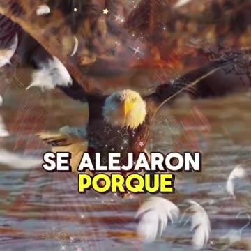 REFLEXIÓN ✨️ ✨️ ✨️ ✨️ ✨️ ✨️ ✨️ ✨️